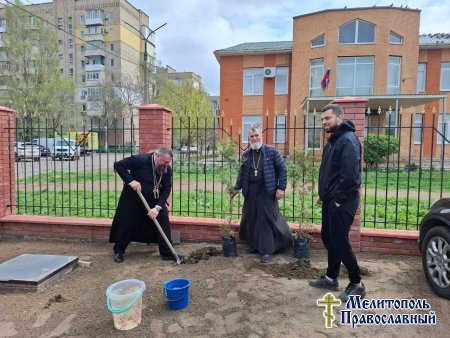 На территории храма святого великомученика ГЕОРГИЯ Победоносца высажена - Аллея Памяти