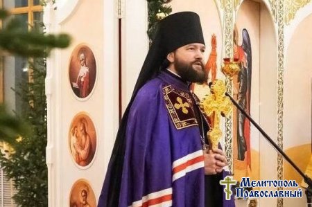 Рождественское послание епископа Бердянского и Приморского Петра